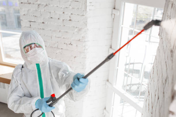 Gang Mills, NY Mold Removal Pros
